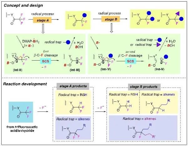 甲基|三氟甲基连续可控脱氟转化研究取得进展