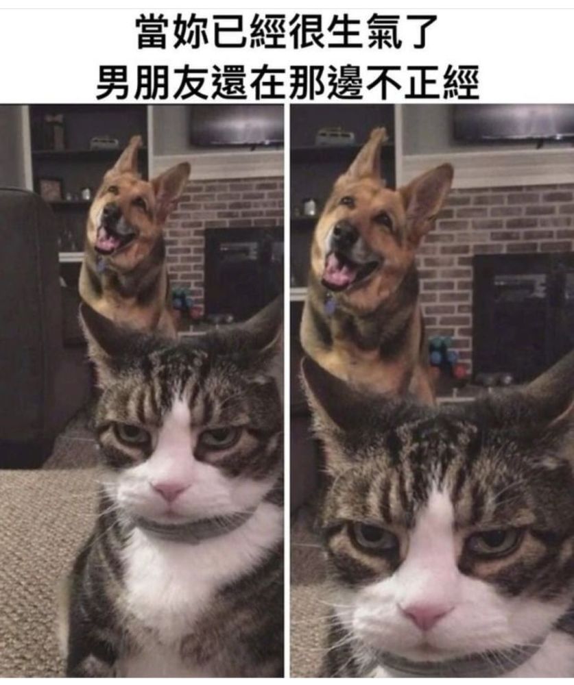 小包纸,我还以为你在卖萌呢哈哈哈哈哈哈哈哈哈哈哈哈