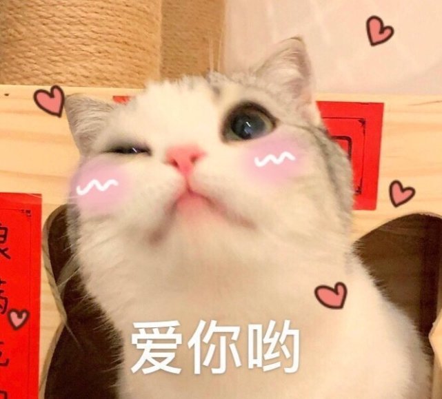 萌宠表情包看我的撒娇蹭蹭大法