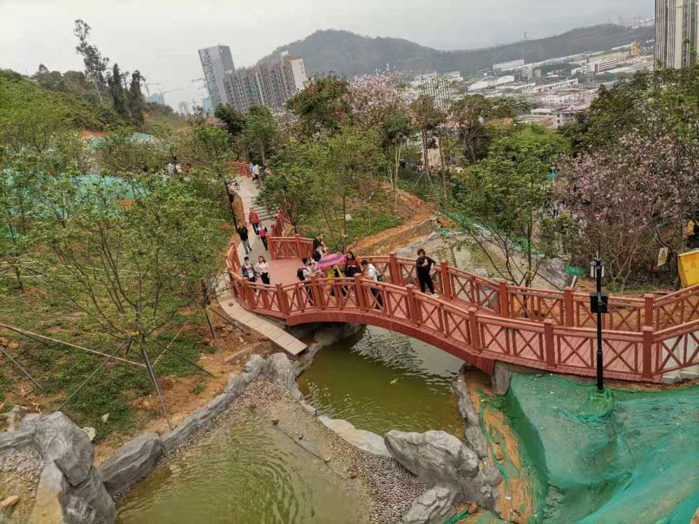 樱花列车已启程坐在车里赏景领略别样风光赤湾樱花公园