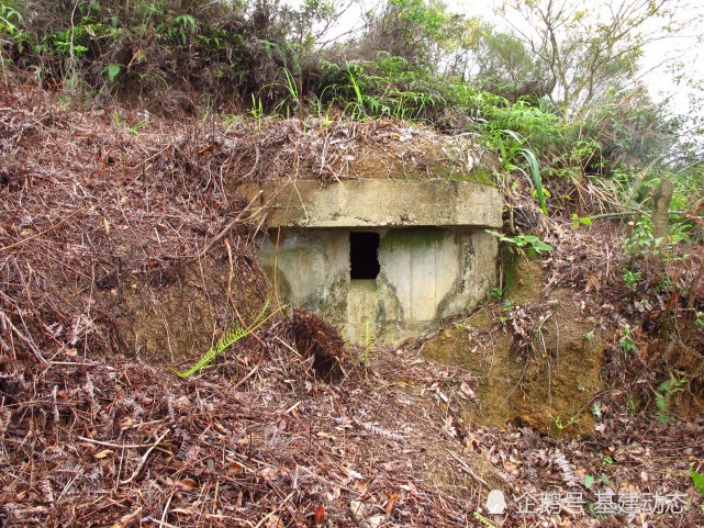 香港大学建筑学院团队在香港发现大型二战遗迹,具有重要历史价值