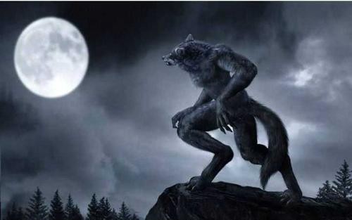 真实的狼人事件3年袭击200人死在银子弹下尸首至今下落不明