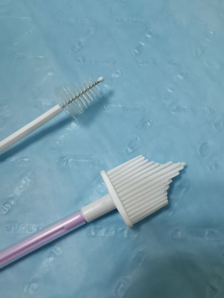 (上:hpv刷头,柔软度与小儿牙刷刷毛相似)(下:tct刷头,柔软度与硅胶