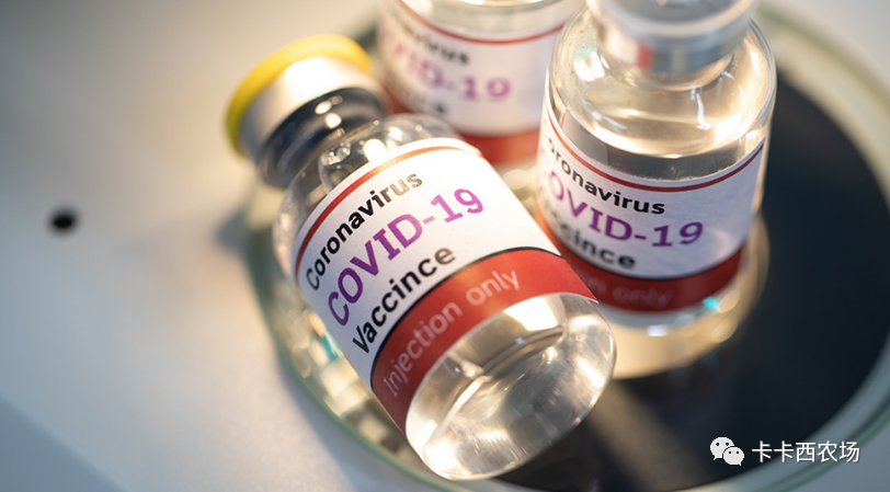 新冠病毒疫苗|【全球疫情】美国迄今为止已有1，170多人死于接种新冠病毒疫苗