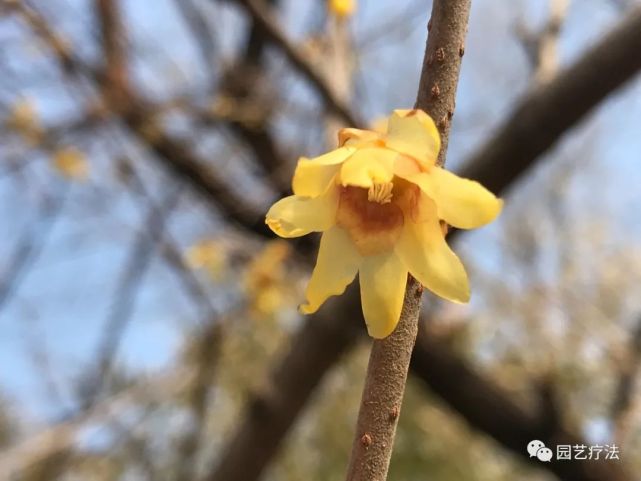 醉中国 仲春二月 仲春 花朝节 二月二日 春风 龙抬头 春雨