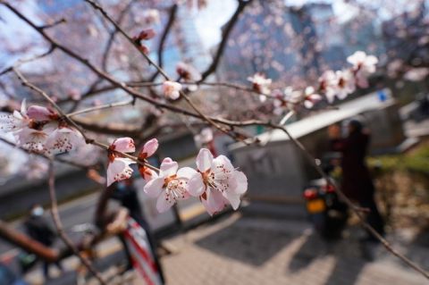 气温|北京最新天气预报：白天阳光在线，气温明显回升，最高气温15℃