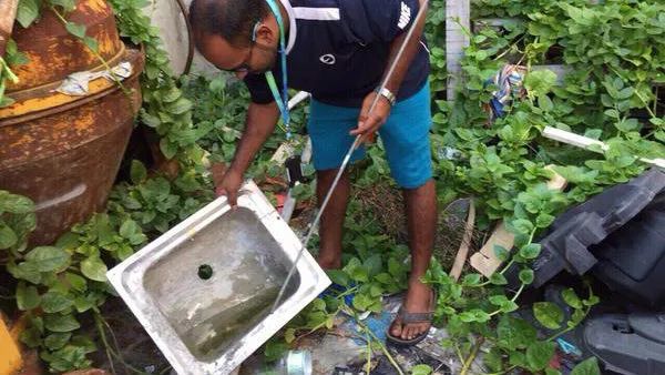 登革热|给蚊子做绝育、引天敌、搭蚊帐，为了预防这种传染病，科学家拼了