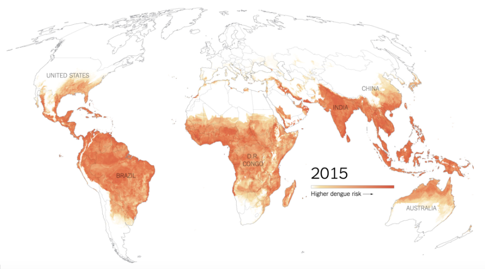 登革热|给蚊子做绝育、引天敌、搭蚊帐，为了预防这种传染病，科学家拼了