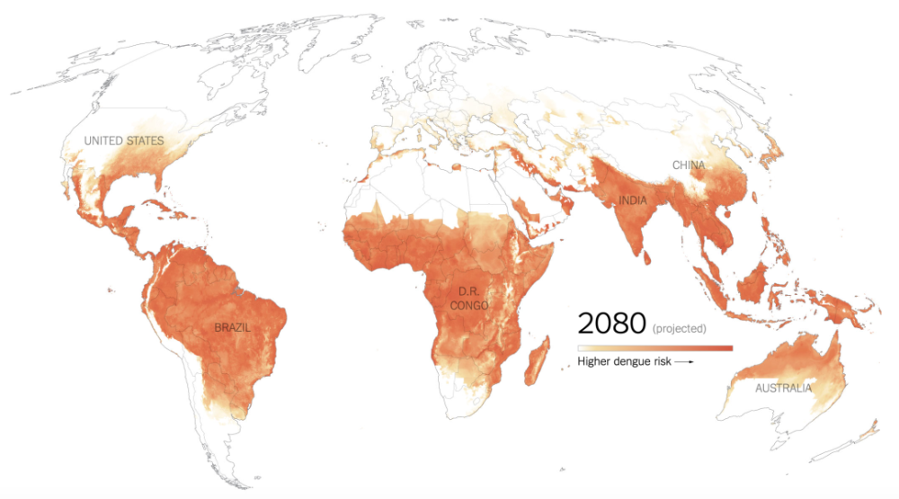登革热|给蚊子做绝育、引天敌、搭蚊帐，为了预防这种传染病，科学家拼了