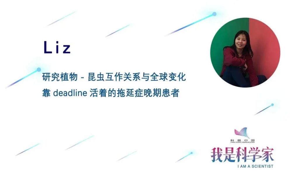 登革热|给蚊子做绝育、引天敌、搭蚊帐，为了预防这种传染病，科学家拼了