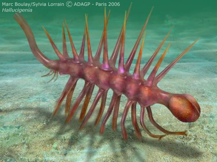 寒武纪第一怪——怪诞虫,从发现之初就以独特的样貌难倒了古生物学家