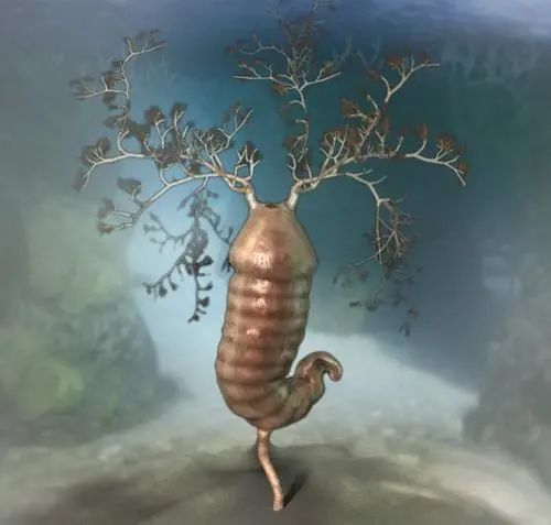 进化出拟态的herpetogaster奥戴雷虫· 疯狂的生命演化之路 ·寒武纪