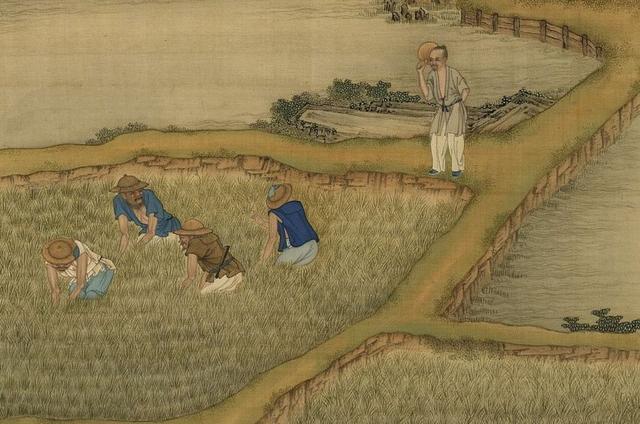 古代没有现在这么发达的设备,农田耕作都要靠牛,但大部分还是要手工