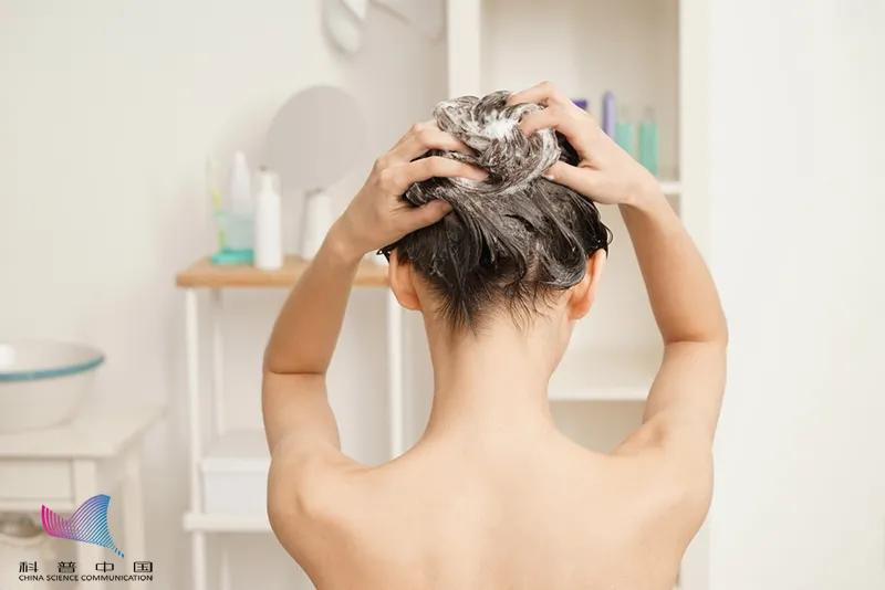 头发|头发，多久洗一次最好？早上洗好还是晚上洗好？原来这么多年都错了…