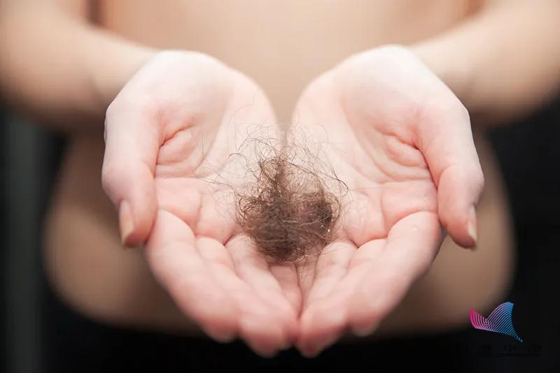 头发|头发，多久洗一次最好？早上洗好还是晚上洗好？原来这么多年都错了…