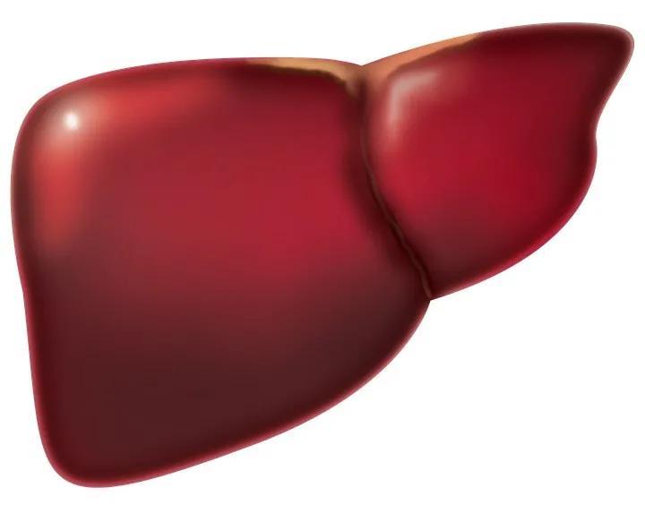 40出头肝癌骨转移 它不痛不痒发现即晚期 平时需注意 腾讯新闻