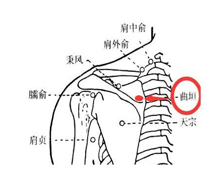 曲垣穴:肩胛疼痛