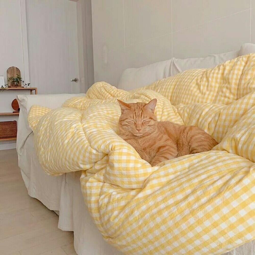 ins风背景图你的浪漫我都想参与