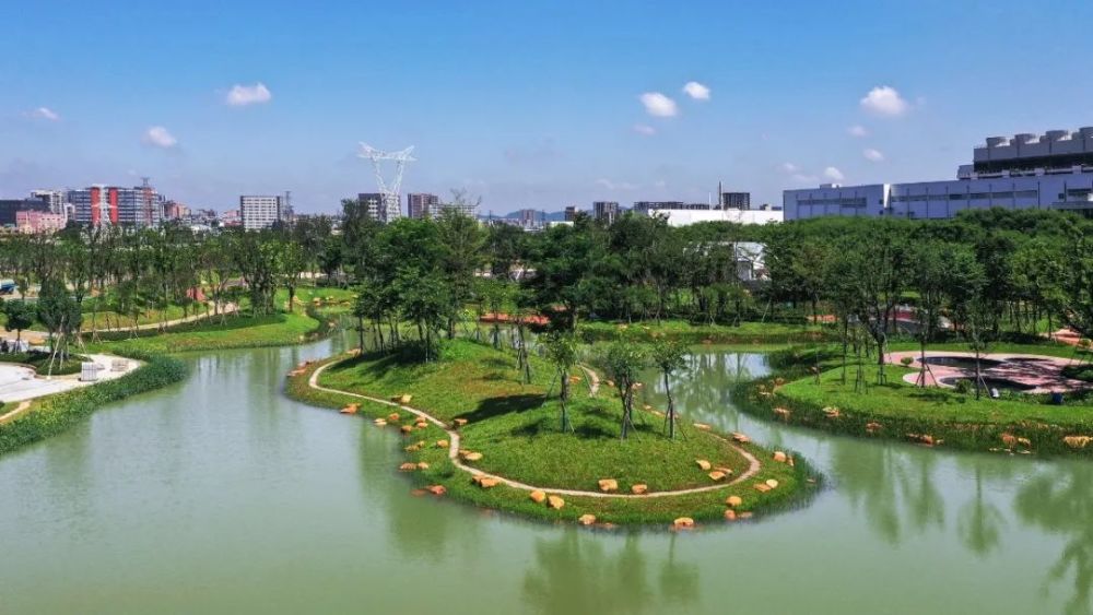 光明鹅颈水沿线太惊艳了!_腾讯新闻