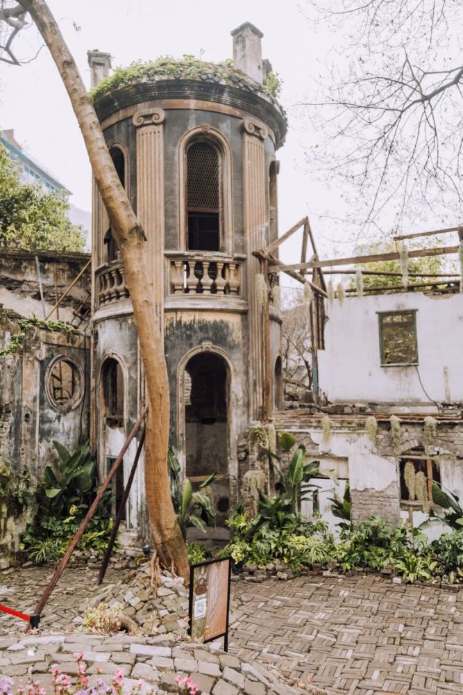 最后6天重庆山城巷荒野花园免费观展