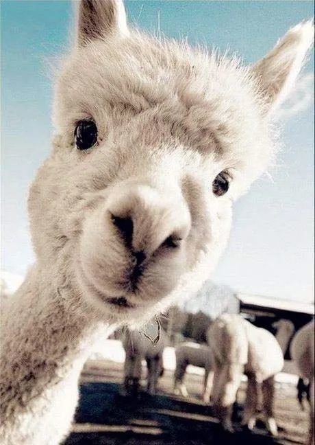 蒙古地区|成也气候败也气候：那些年，大自然做过的开国元勋与祸国妖妃