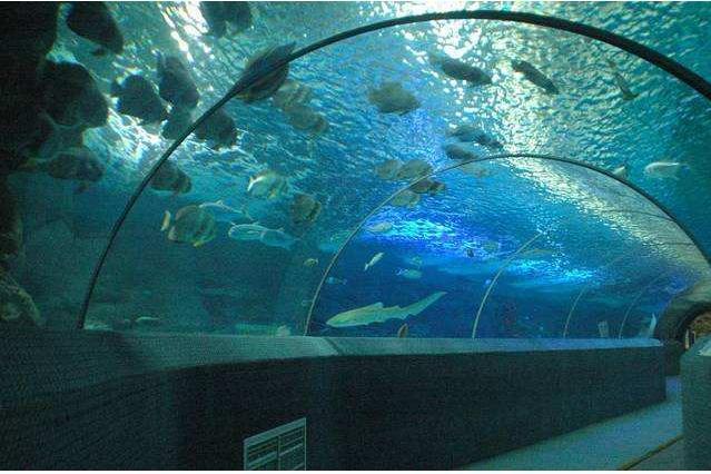 淄博"新地标公园"走红,距市中心仅490米,耗资4000万门票免费