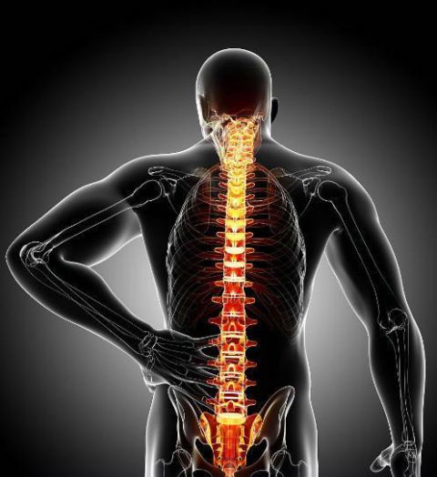 腰椎变形不自知四个危险信号一个锻炼方法快速识别提前预防