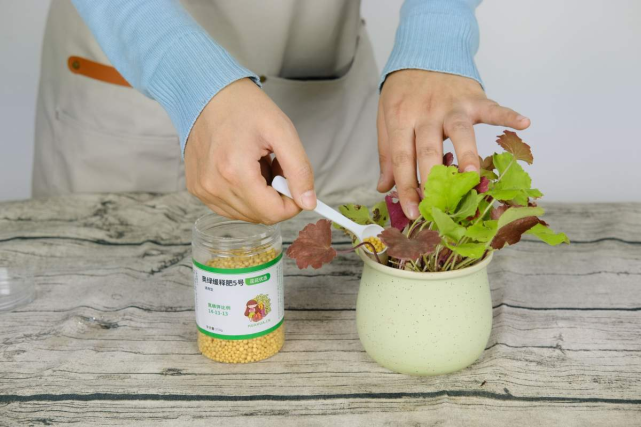 三,施肥的方式我们常见的这些肥料,因为形状不同, 施肥的方式也是不一