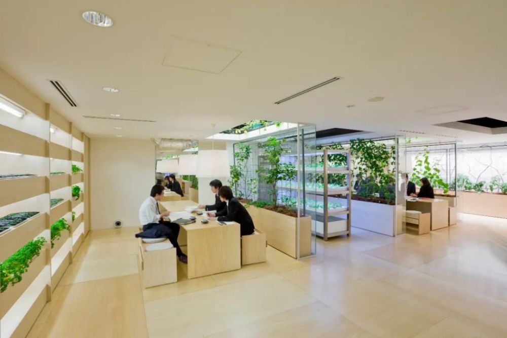 农场|从农场到餐桌，开启办公生活新方式