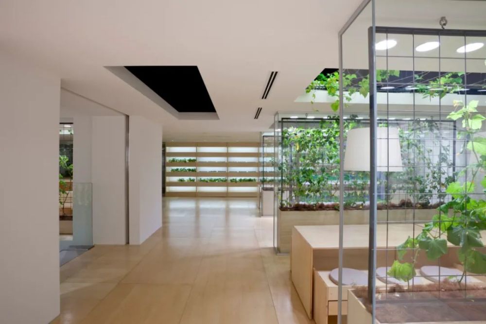 农场|从农场到餐桌，开启办公生活新方式