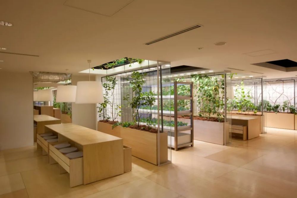 农场|从农场到餐桌，开启办公生活新方式