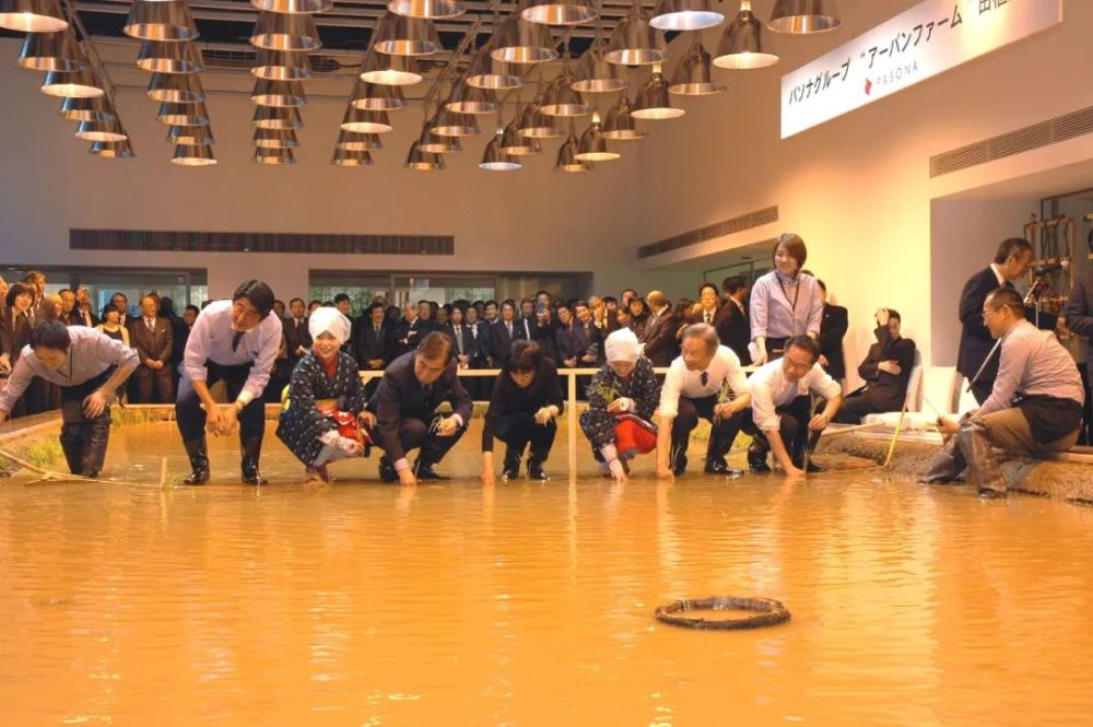 农场|从农场到餐桌，开启办公生活新方式