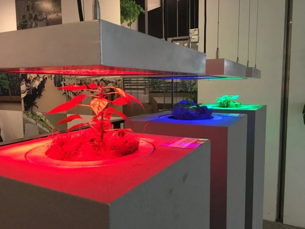 农场|从农场到餐桌，开启办公生活新方式