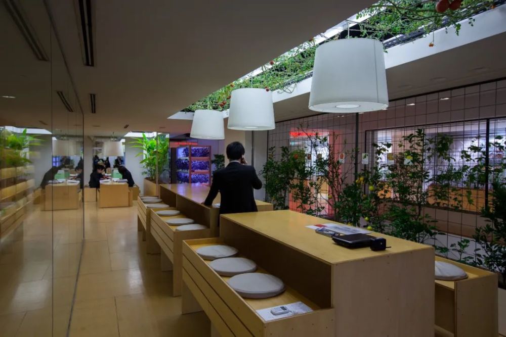 农场|从农场到餐桌，开启办公生活新方式