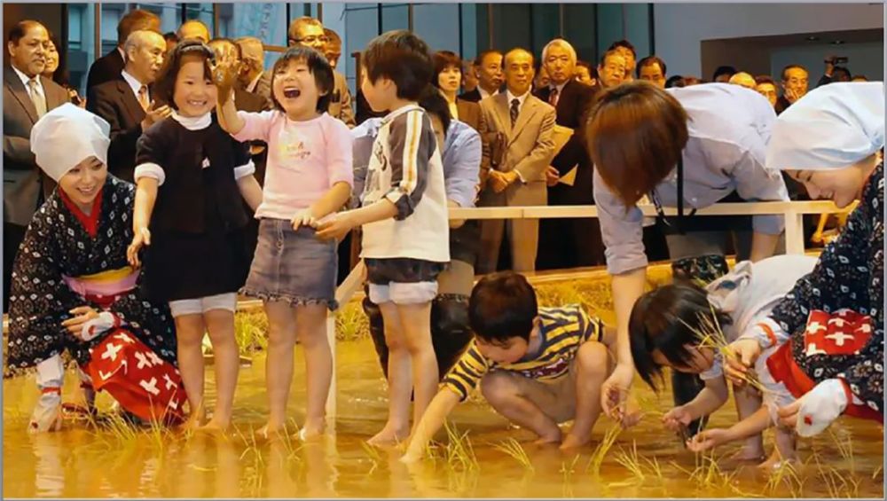 农场|从农场到餐桌，开启办公生活新方式