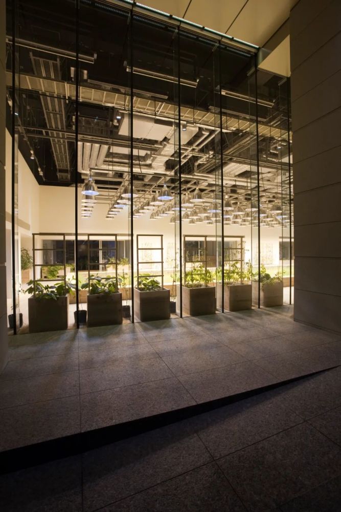 农场|从农场到餐桌，开启办公生活新方式