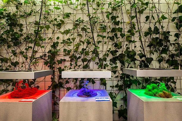 农场|从农场到餐桌，开启办公生活新方式