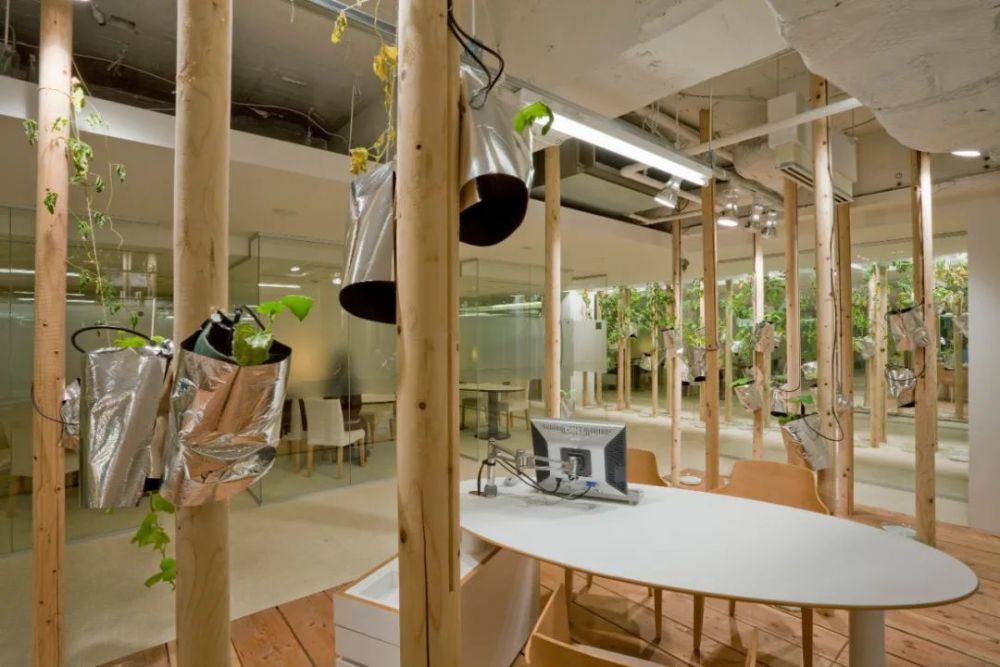 农场|从农场到餐桌，开启办公生活新方式