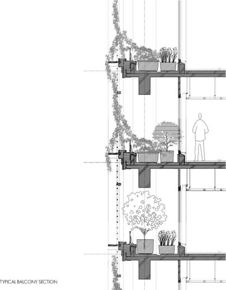 农场|从农场到餐桌，开启办公生活新方式