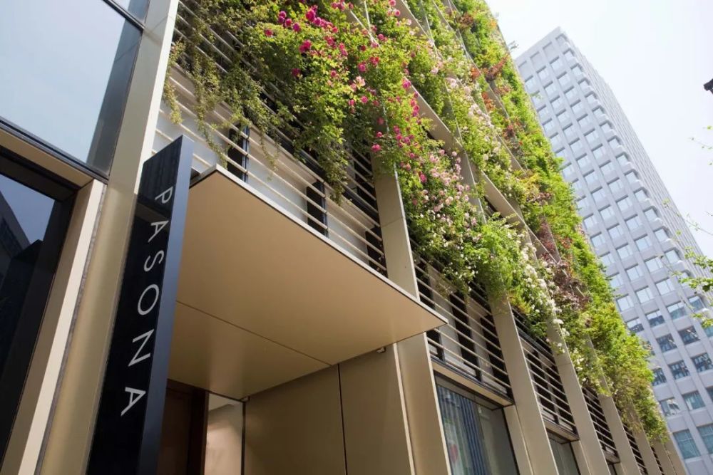 农场|从农场到餐桌，开启办公生活新方式