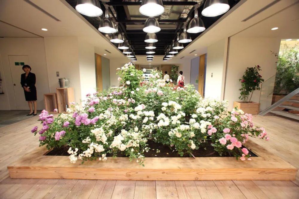 农场|从农场到餐桌，开启办公生活新方式