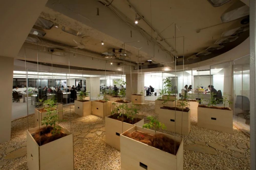 农场|从农场到餐桌，开启办公生活新方式