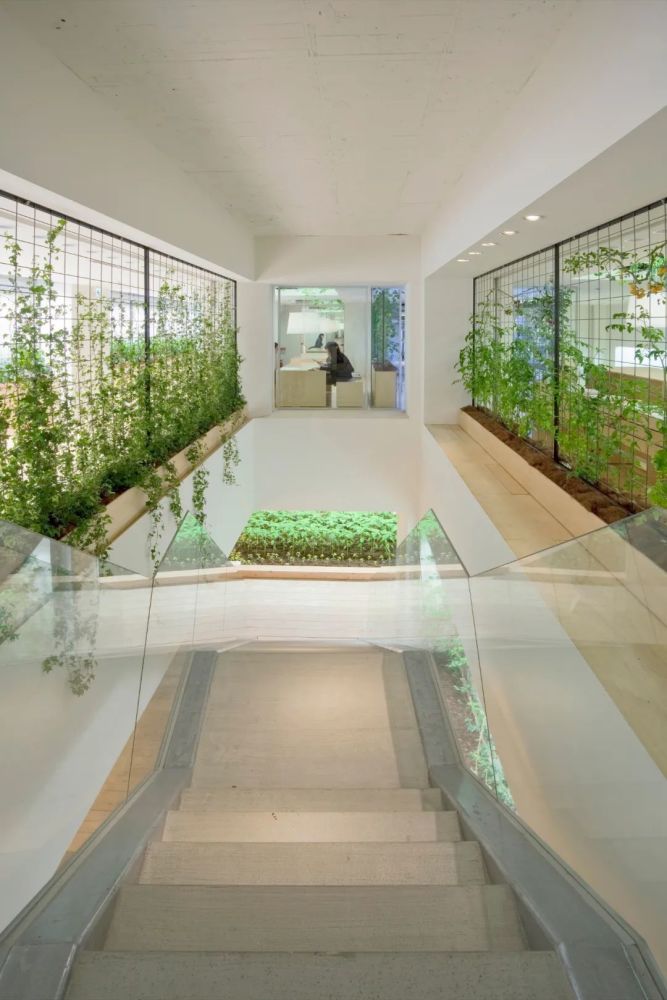 农场|从农场到餐桌，开启办公生活新方式