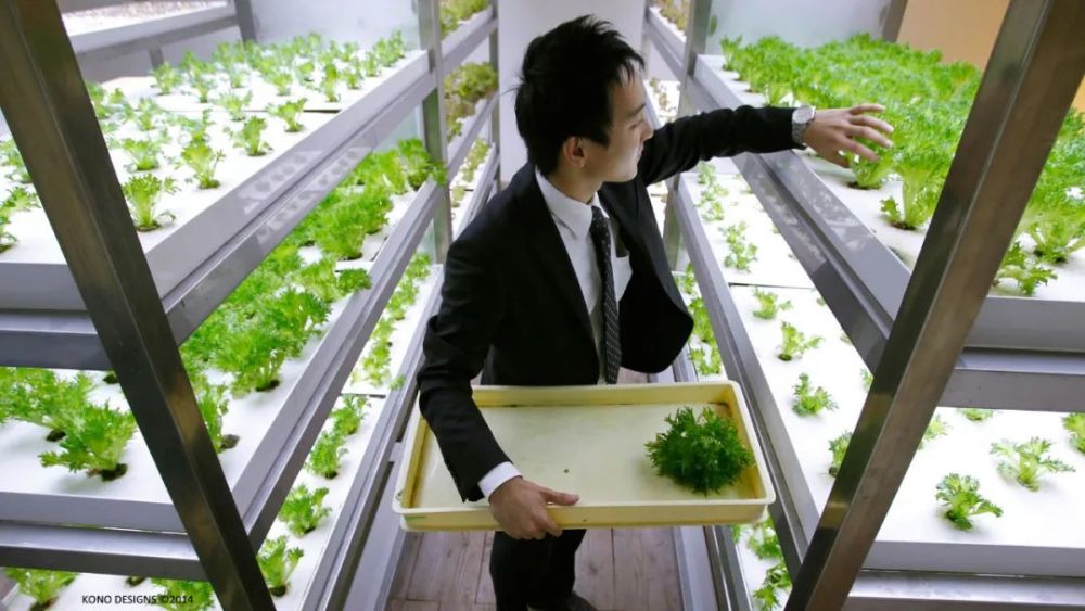 农场|从农场到餐桌，开启办公生活新方式