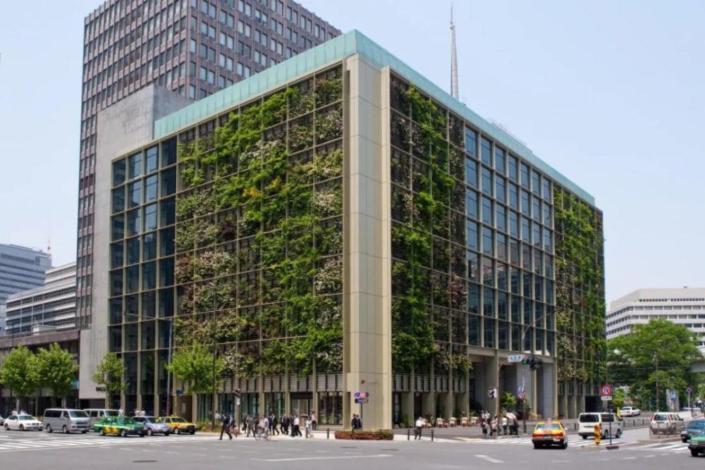 农场|从农场到餐桌，开启办公生活新方式