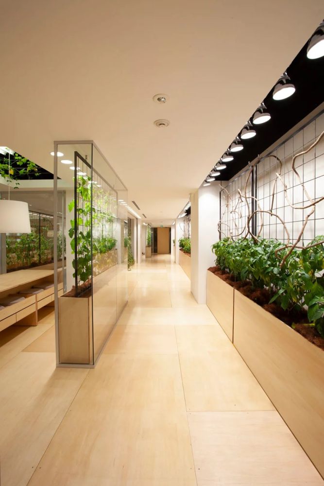 农场|从农场到餐桌，开启办公生活新方式