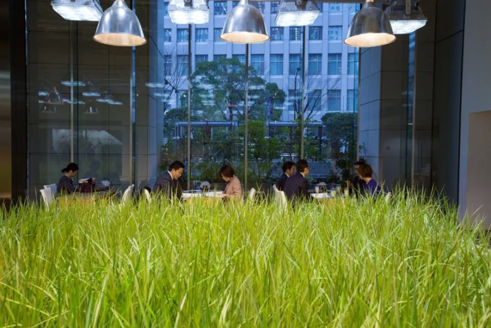 农场|从农场到餐桌，开启办公生活新方式