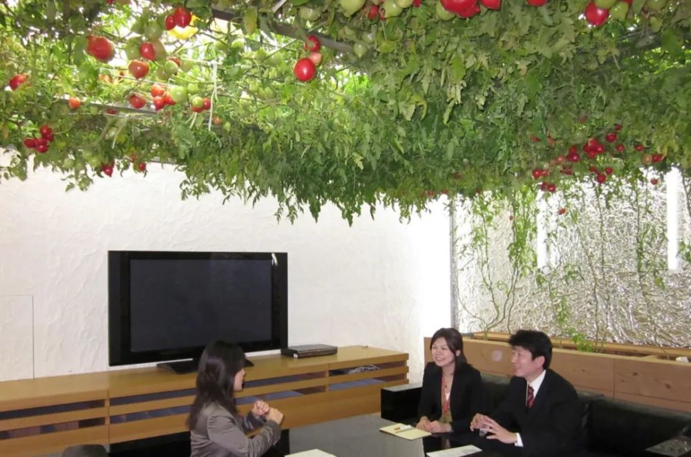 农场|从农场到餐桌，开启办公生活新方式