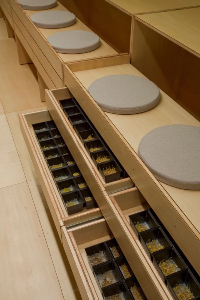 农场|从农场到餐桌，开启办公生活新方式