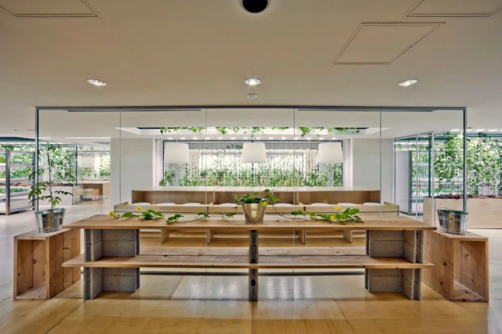 农场|从农场到餐桌，开启办公生活新方式